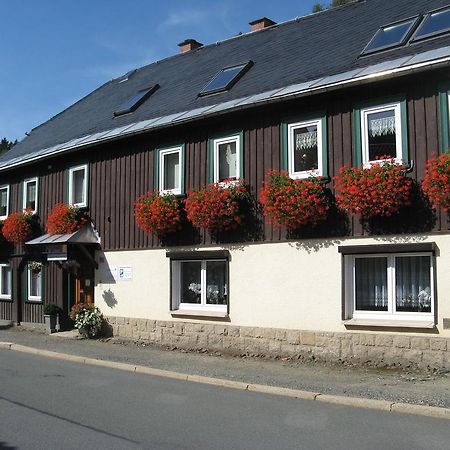Ferienwohnung Wild Klingenthal Exterior foto