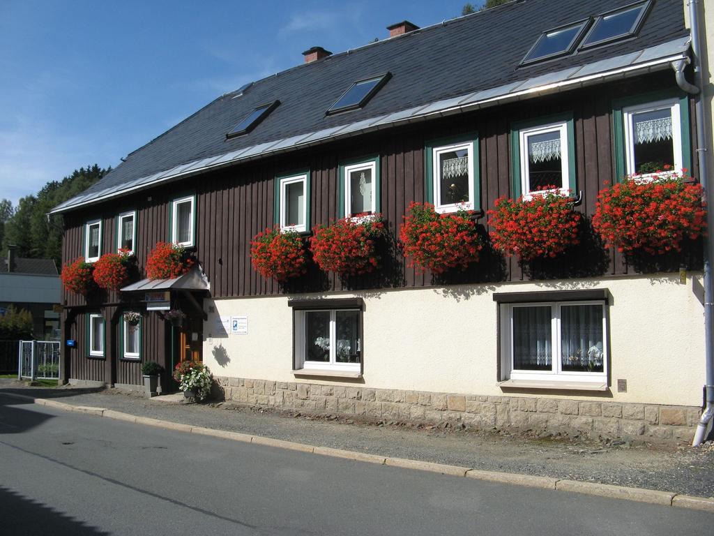 Ferienwohnung Wild Klingenthal Exterior foto